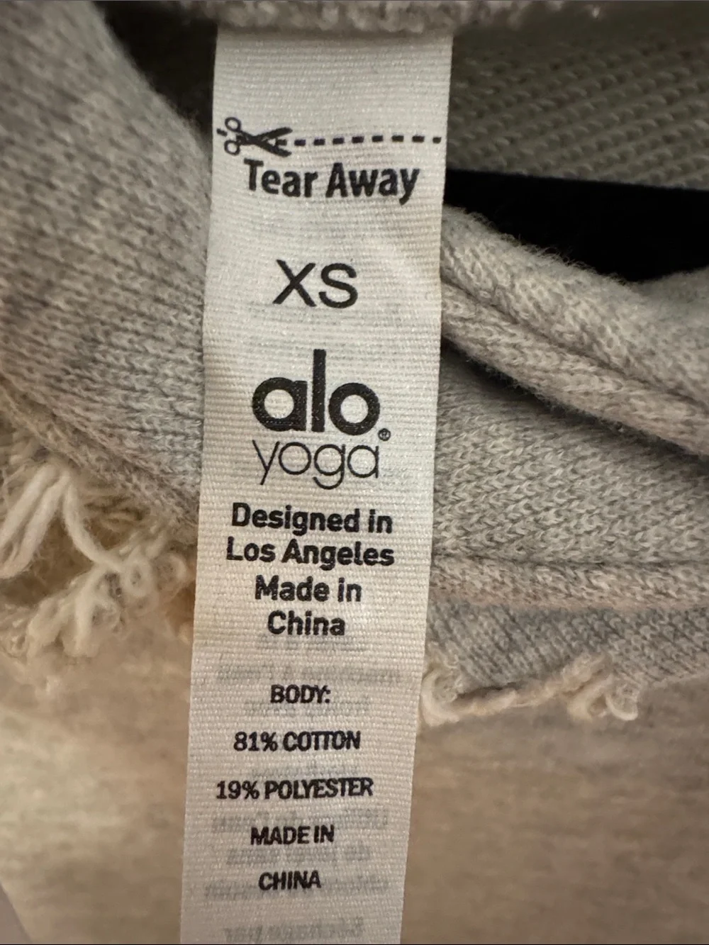 Alo Hooded Distressed Sweatshirt